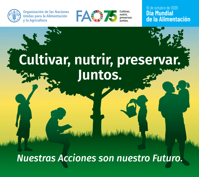 Imagen Día Mundial de la Alimentación 2020