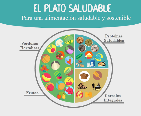 Imagen infografía Plato PIOBIN