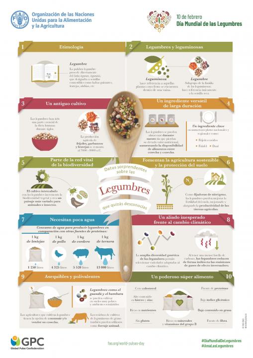 Imagen infografía legumbres FAO