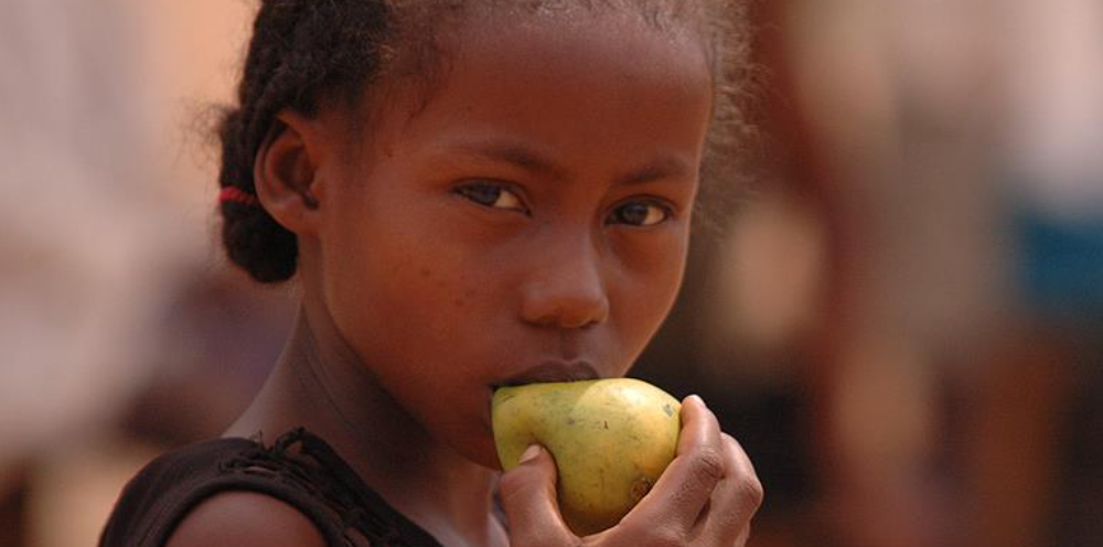 Imagen OMS alimentación saludable