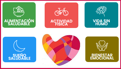 Hábitos cardiovasculares