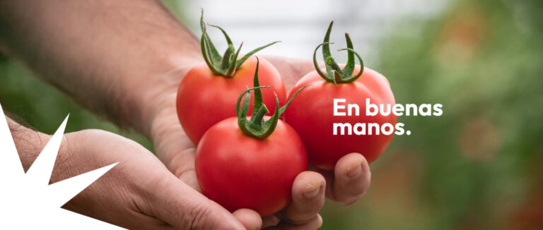 Imagen CASI Almeria - PSLT