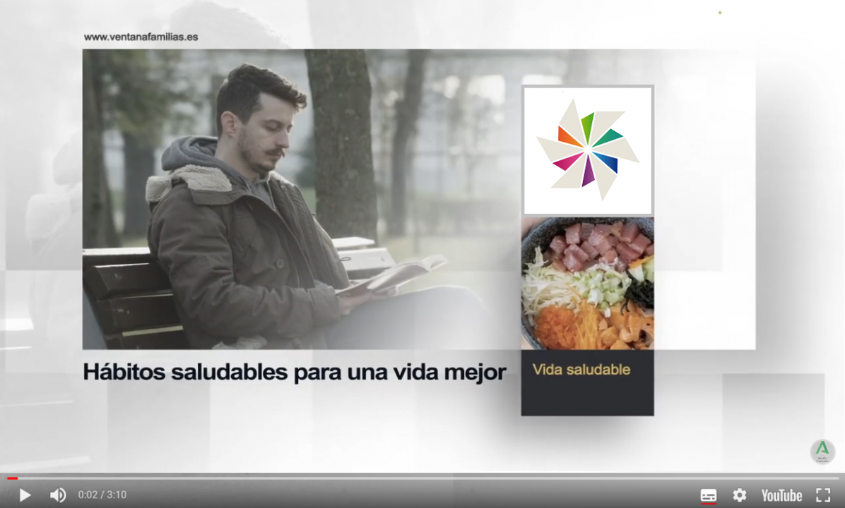 Carátula Vídeo Estrategia Vida Saludable