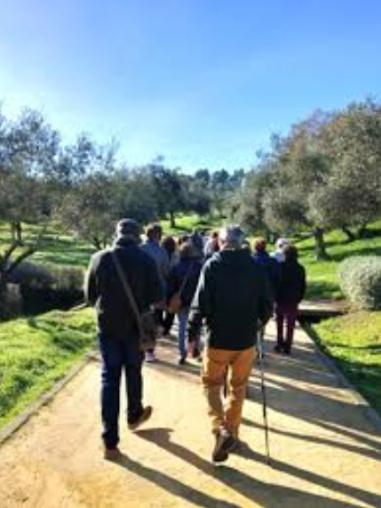 Imagen Caminata Bormujo y Tomares