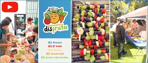 Carátula vídeo Momentos Disfruta