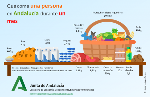 Infografía IECA 2019