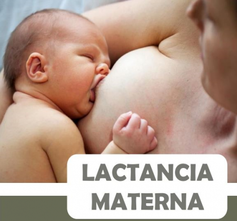 Imagen día mundial donación leche materna