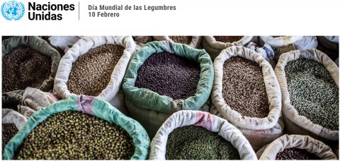 Imagen Día mundial de las Legumbres