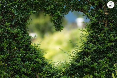 DM Corazón 2023 (PSLT)