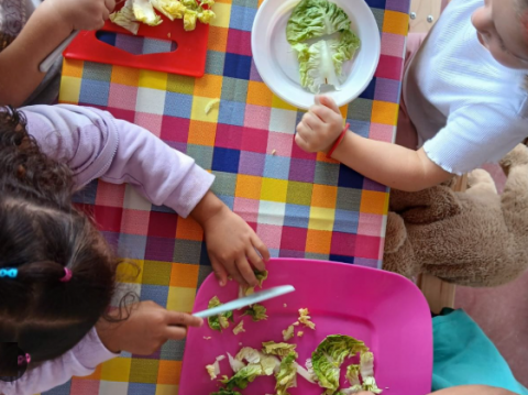 Imagen Alimentación Saludable Axarquía