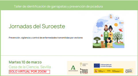 Imagen Taller de Garrapatas